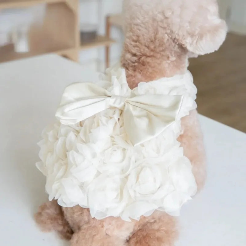 Un perro de pelaje marrón claro y esponjoso vistiendo un vestido floral blanco con un gran lazo.