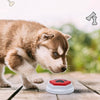 A small puppy is sniffing a white and red recordable talking button for dog training with a paw print design on a wooden surf