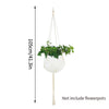 White macrame plant hanger with a hanging plant and a long cord for indoor or outdoor decor
