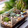 A glass terrarium filled with small succulent plants and luminous resin turtle ornaments for home decor