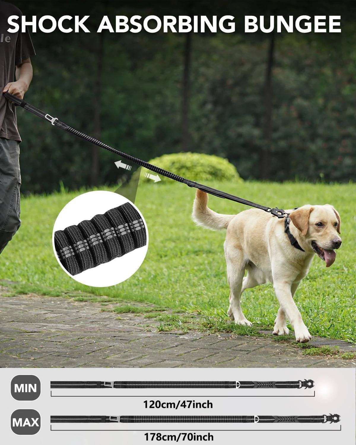A dog is walking on a leash, demonstrating the shock absorbing bungee feature of a tactical dog leash.