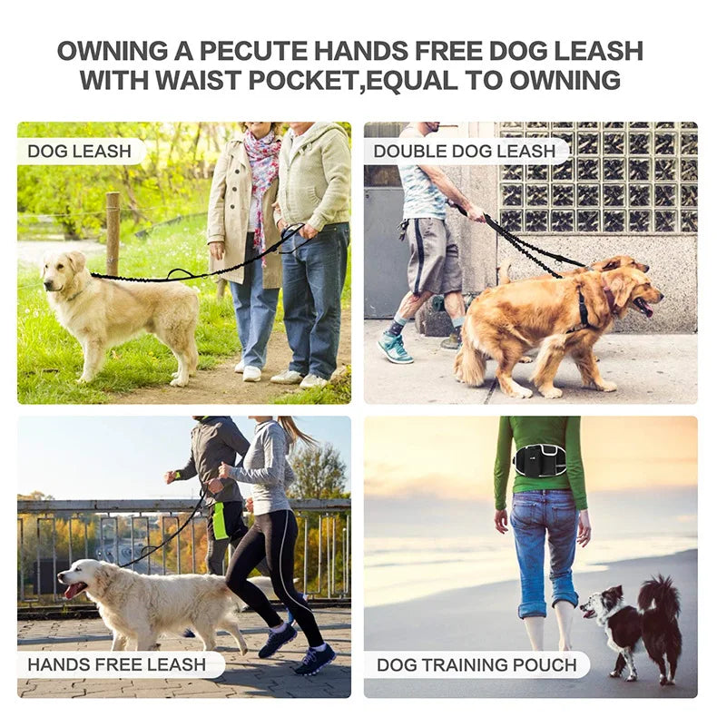 A dog wearing a leash is shown next to a person, demonstrating the hands-free dog leash feature.
