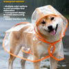 Un chien brun clair portant un imperméable transparent avec bordure orange marche dans l'eau.