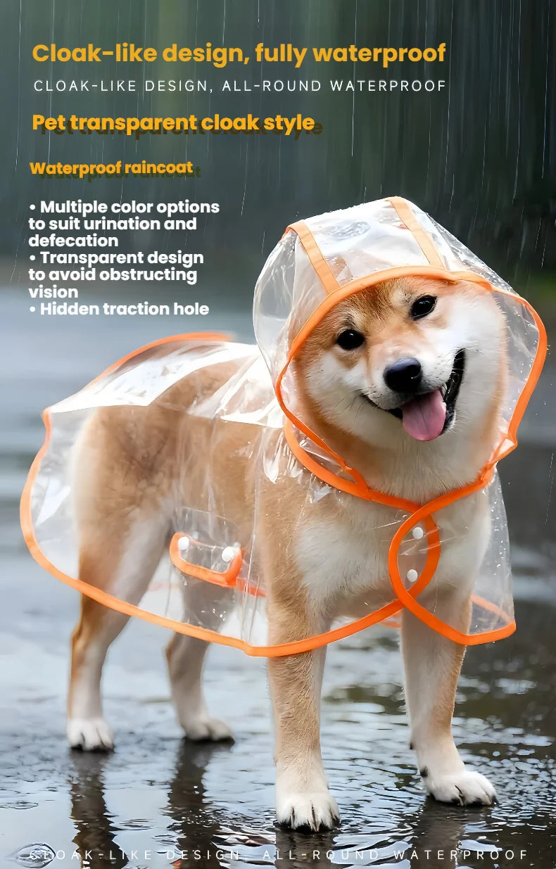 Un chien brun clair portant un imperméable transparent avec bordure orange marche dans l'eau.