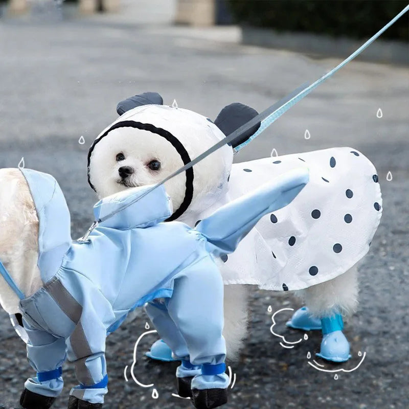 Un cachorro blanco con un impermeable azul claro de lluvia y lunares negros, parado al aire libre.