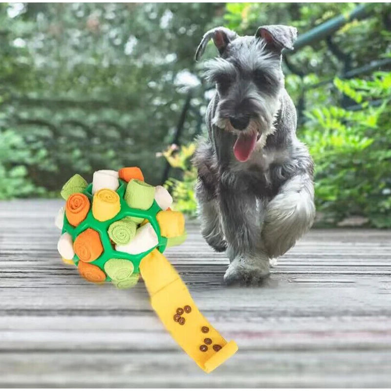 Ein grauer Hund spielt mit einem interaktiven Fleece-Snuffle-Spielzeug in Form einer grünen Kugel mit orange-weißen Teilen.