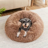 A small, fluffy dog is resting inside a round, brown faux fur pet bed on a light rug.