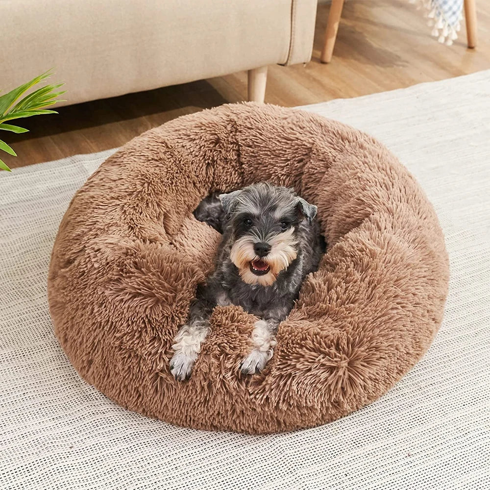 A small, fluffy dog is resting inside a round, brown faux fur pet bed on a light rug.