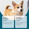 A fluffy orange and white dog is shown next to cleaning information highlighting gentle cleaning and a cleaning experience.