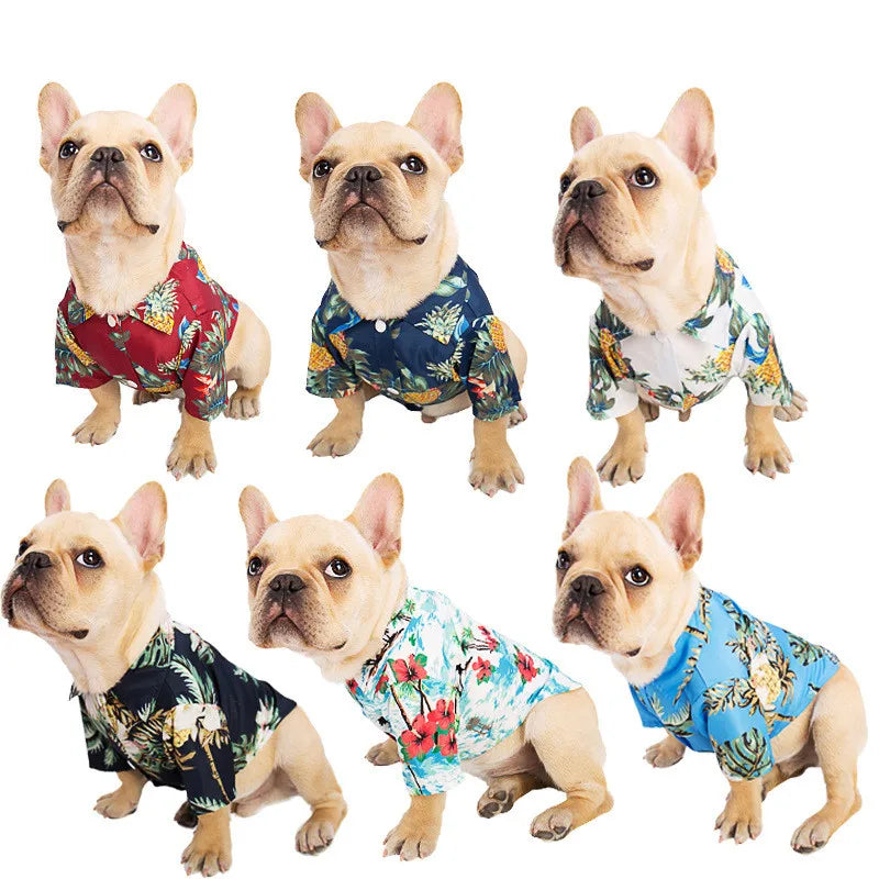 A collection of six French Bulldogs wearing Hawaiian leaf print shirts.