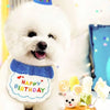 Un chien blanc duveteux portant un bandana bleu et un chapeau de fête pour une célébration d'anniversaire.