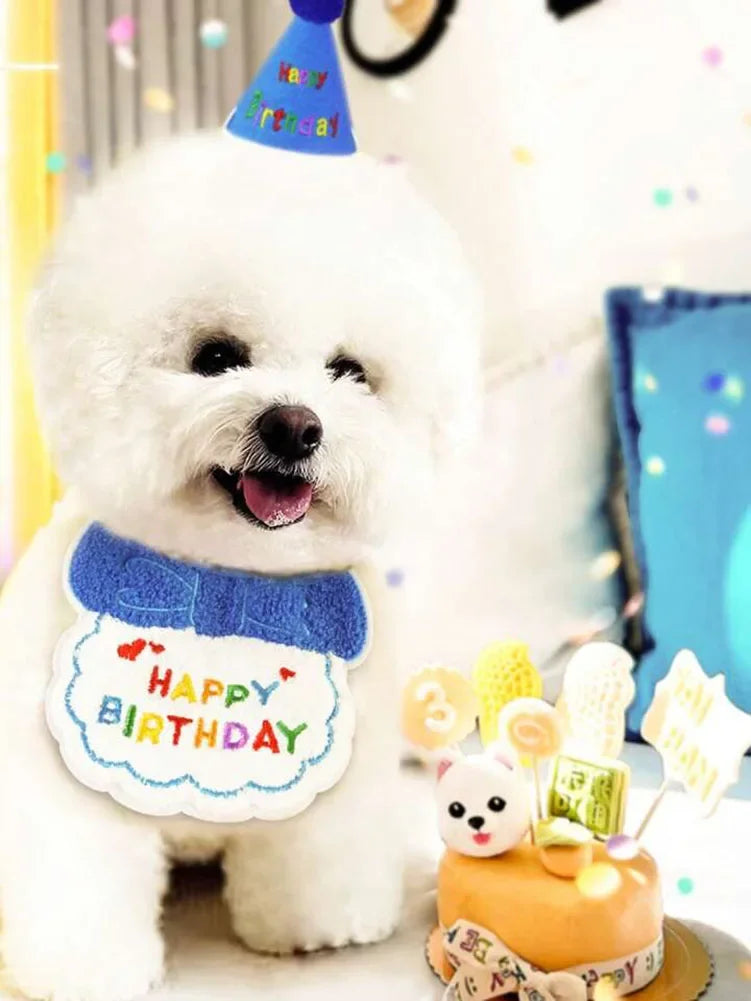 Un chien blanc duveteux portant un bandana bleu et un chapeau de fête pour une célébration d'anniversaire.