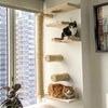 Wall-mounted cat climbing shelves featuring a hammock and scratching post for cats.