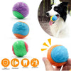 Bunte interaktive Hunde-Bälle in Lila, Blau und Grün neben einem Hund, der mit einem orangen Ball spielt.