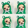 Hüschens Hund trägt einen grünen, froschförmigen Hoodie mit weißen Schleifenbesätzen.