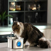A tabby cat is drinking water from a stainless steel pet water fountain with a blue visual window.