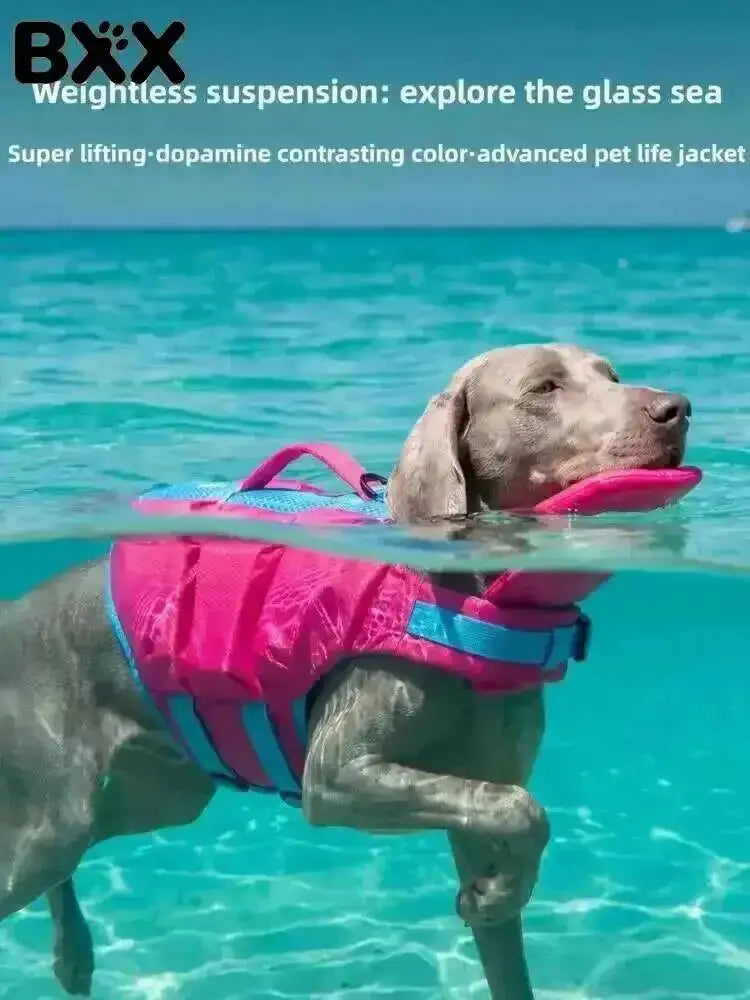 A dog wearing a bright pink and blue life jacket is swimming in clear blue water.