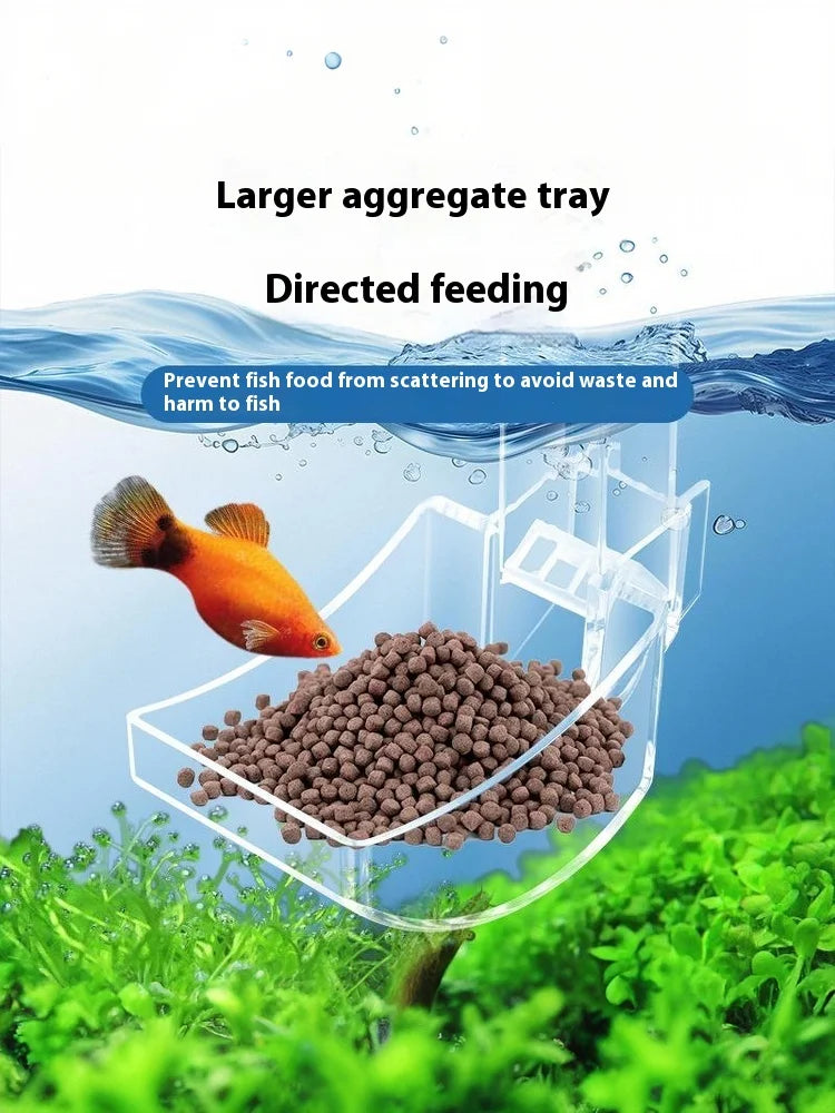 A transparent acrylic aggregate tray with directed feeding is shown over green aquatic plants.