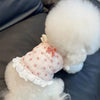 A pink floral print vest with white lace trim and a red bow displayed next to a fluffy white pet.