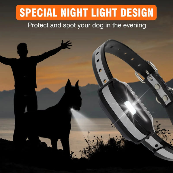 A silhouette of a person and a dog with a glowing night light collar illuminating the evening.