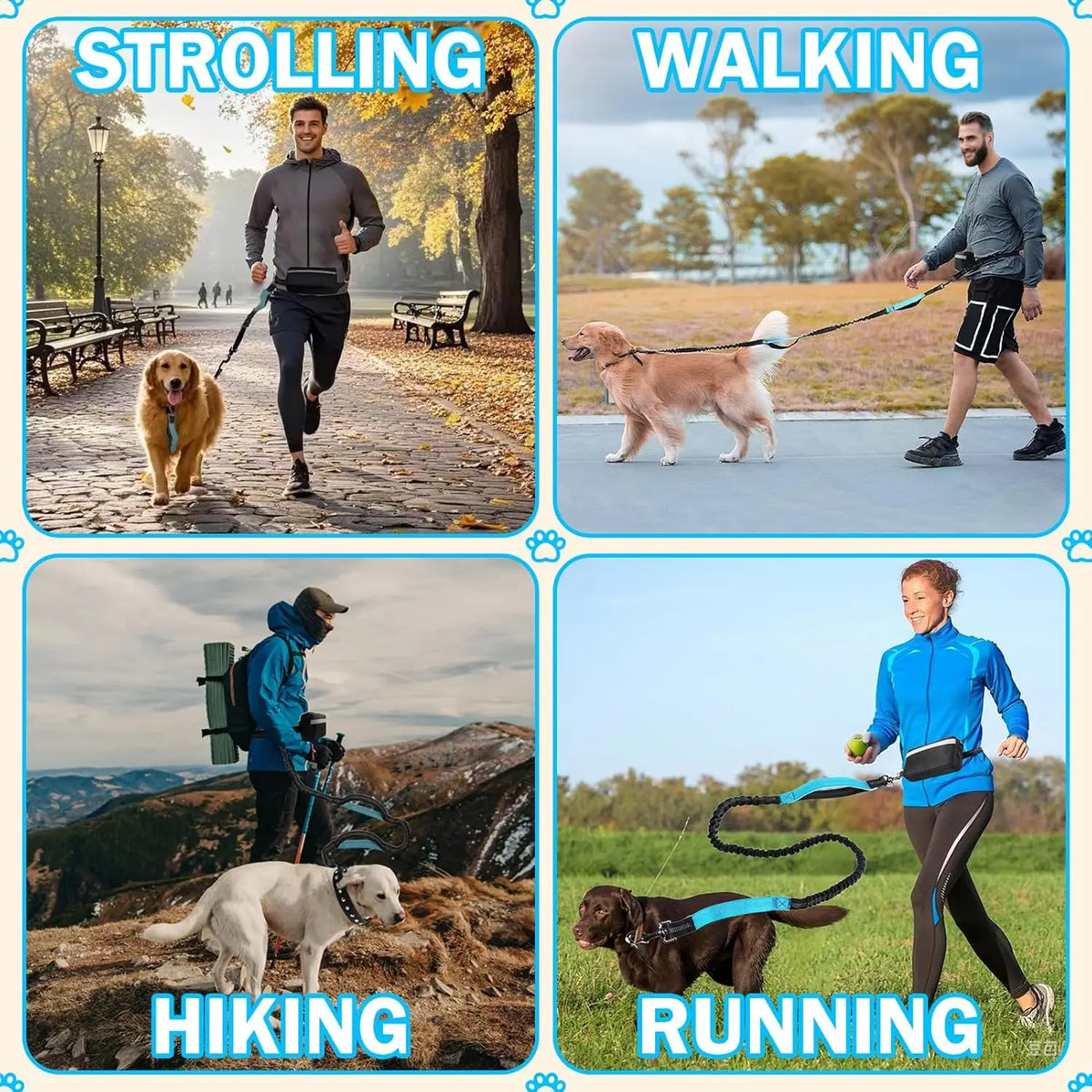 Vier Panels, die verschiedene Hundetätigkeiten zeigen: Spaziergang, Laufen, Wandern und Rennen.