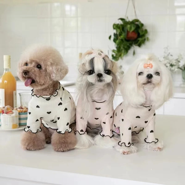 Three fluffy dogs wearing matching black and white patterned wool vests sitting on a white surface.