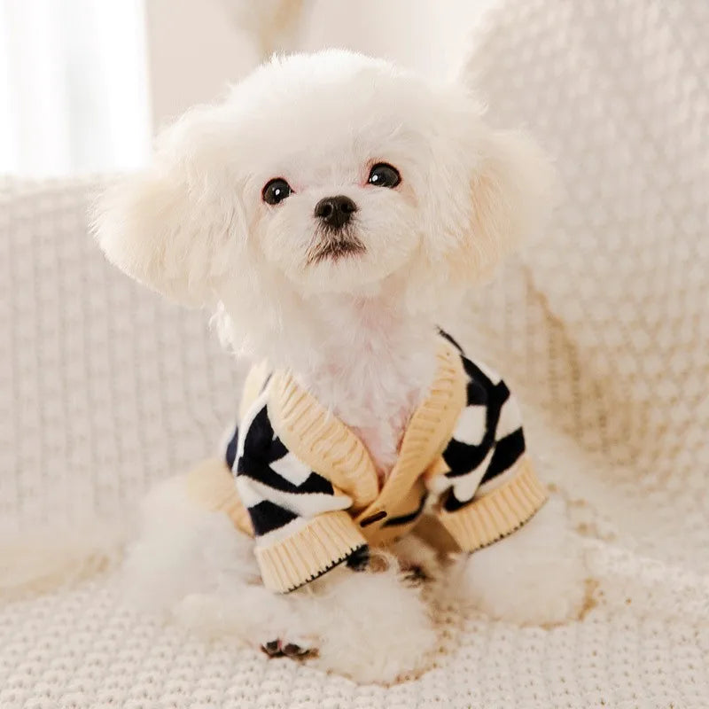A fluffy white dog wearing a black and white patterned knit sweater.