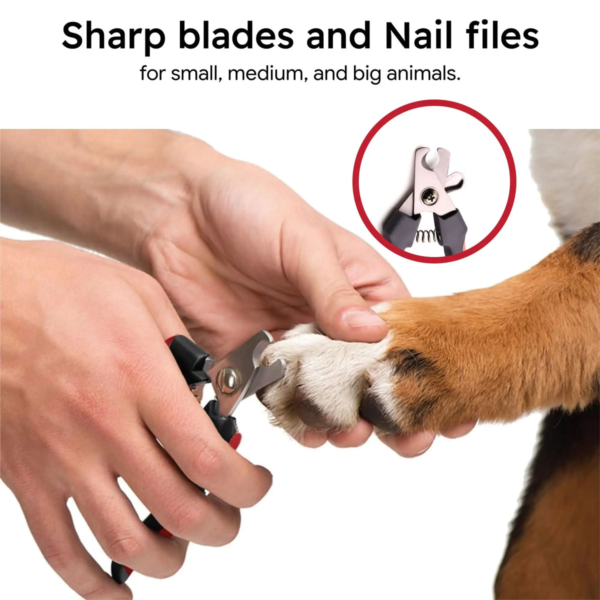 A hand is using a stainless steel pet nail clipper with a safety stop and built-in file on a dog's paw.