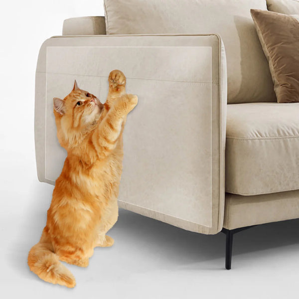 An orange tabby cat stretches its paw out from inside a beige sofa covered by a removable anti-scratch furniture cover.