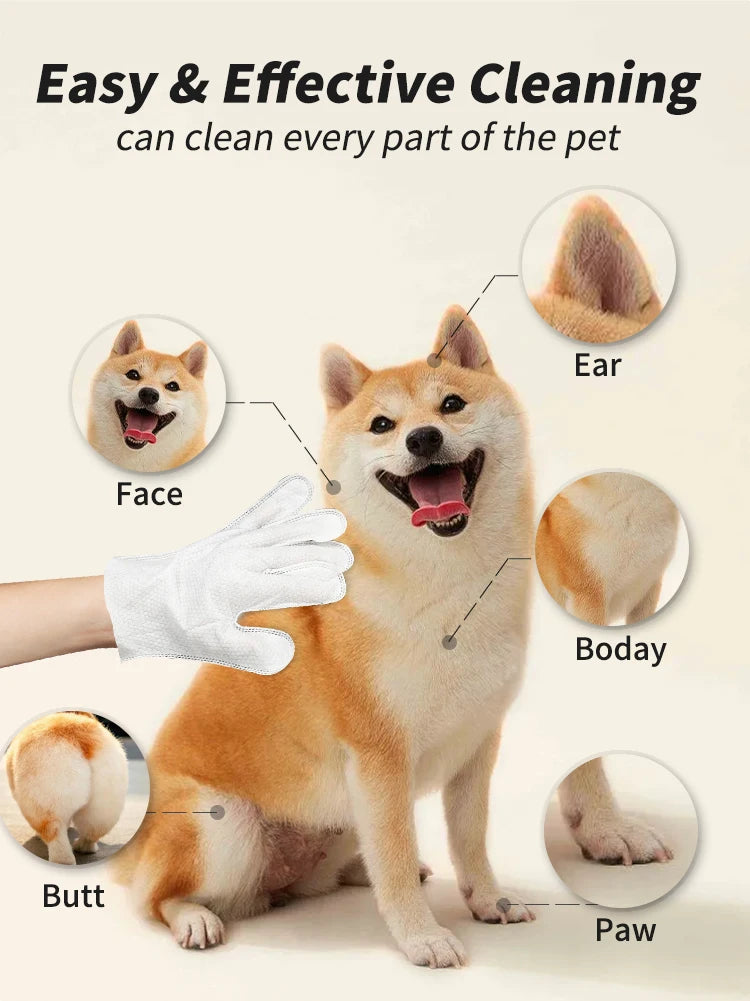 A dog is being cleaned with pet dry cleaning gloves, demonstrating easy and effective cleaning of the face, ear, body, and pa