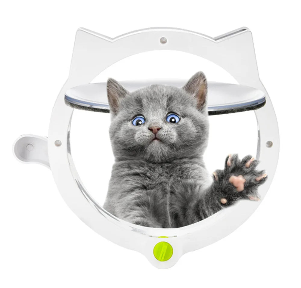 Un chaton gris et duveteux regarde directement la caméra à travers un panneau de porte blanc pour animaux.