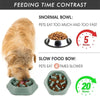A dog is eating from a slow feeder bowl, demonstrating the feeding time contrast between a normal and slow food bowl.