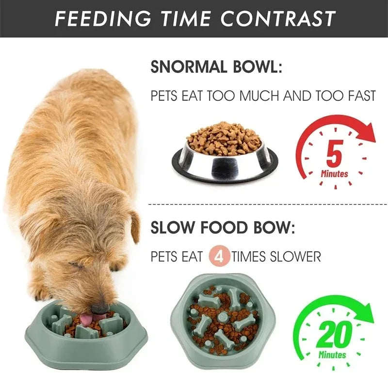 A dog is eating from a slow feeder bowl, demonstrating the feeding time contrast between a normal and slow food bowl.