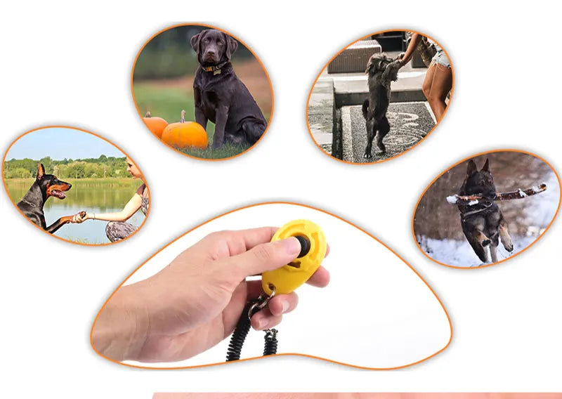 Eine Hand hält einen gelben, verstellbaren Hundetrainer-Klicker, umgeben von Bildern von trainierten Hunden.