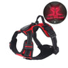A black and red LED dog harness with reflective strips is shown against a white background.