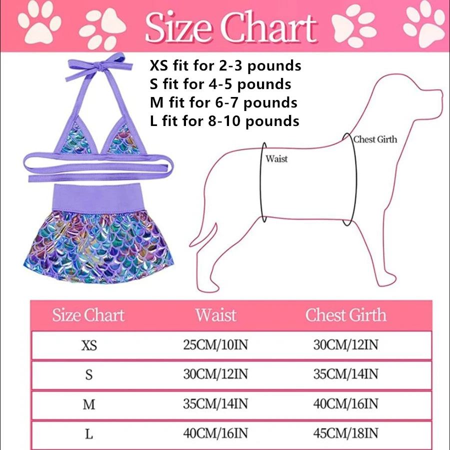 Size chart for a summer pet swimsuit for dogs and cats showing sizing for XS to L.