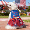 Ein weißer Hund trägt ein patriotisches Netzkleid mit rot-weiß-blauen Sternen und Streifen.