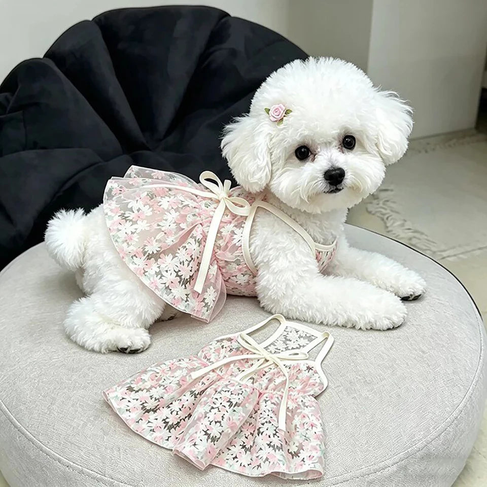 A white fluffy dog wearing a pink floral princess style anti-shedding dress.