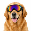 A golden retriever wearing black adjustable goggles with a vibrant, iridescent lens.