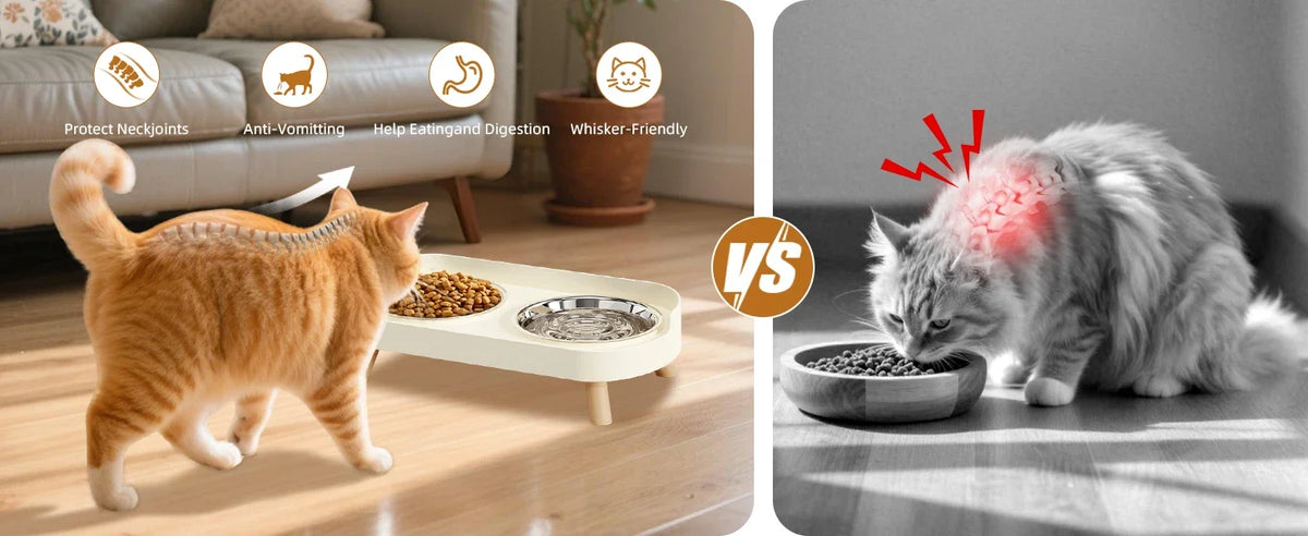 A comparison showing an orange tabby cat interacting with an elevated food bowl and a gray cat eating from a bowl.
