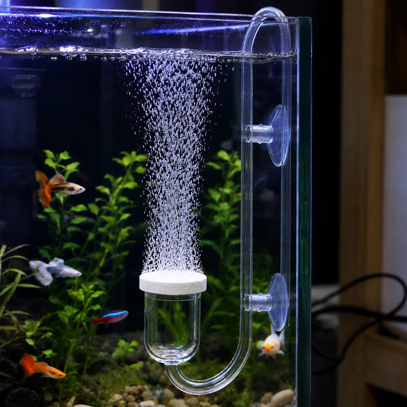 An aquarium CO2 diffuser with a bubble counter and suction cup is shown inside a glass tank surrounded by aquatic plants.
