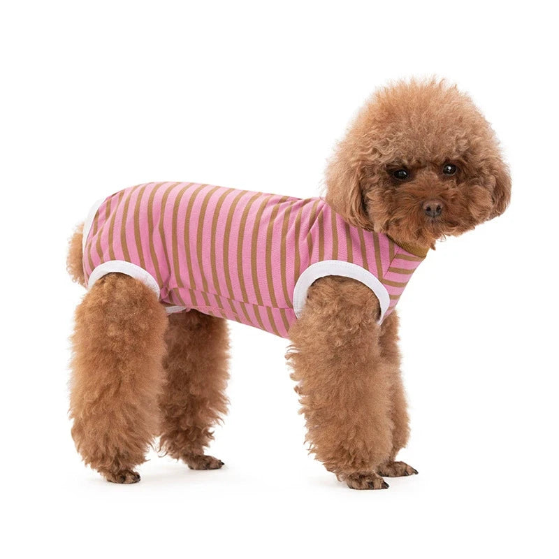 A fluffy brown dog wearing a pink and beige striped cotton recovery suit.