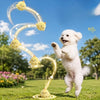 A white dog is running while a glowing, curved ball of squeaky material floats above its head.