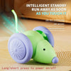 A purple and green electric cat ball toy resting on a wooden surface with text describing its features.