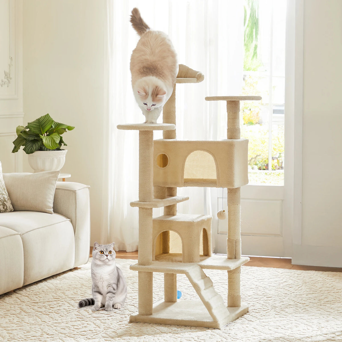 A light beige cat tree tower with sisal scratching posts and cozy condos, featuring a fluffy kitten and an adult cat.