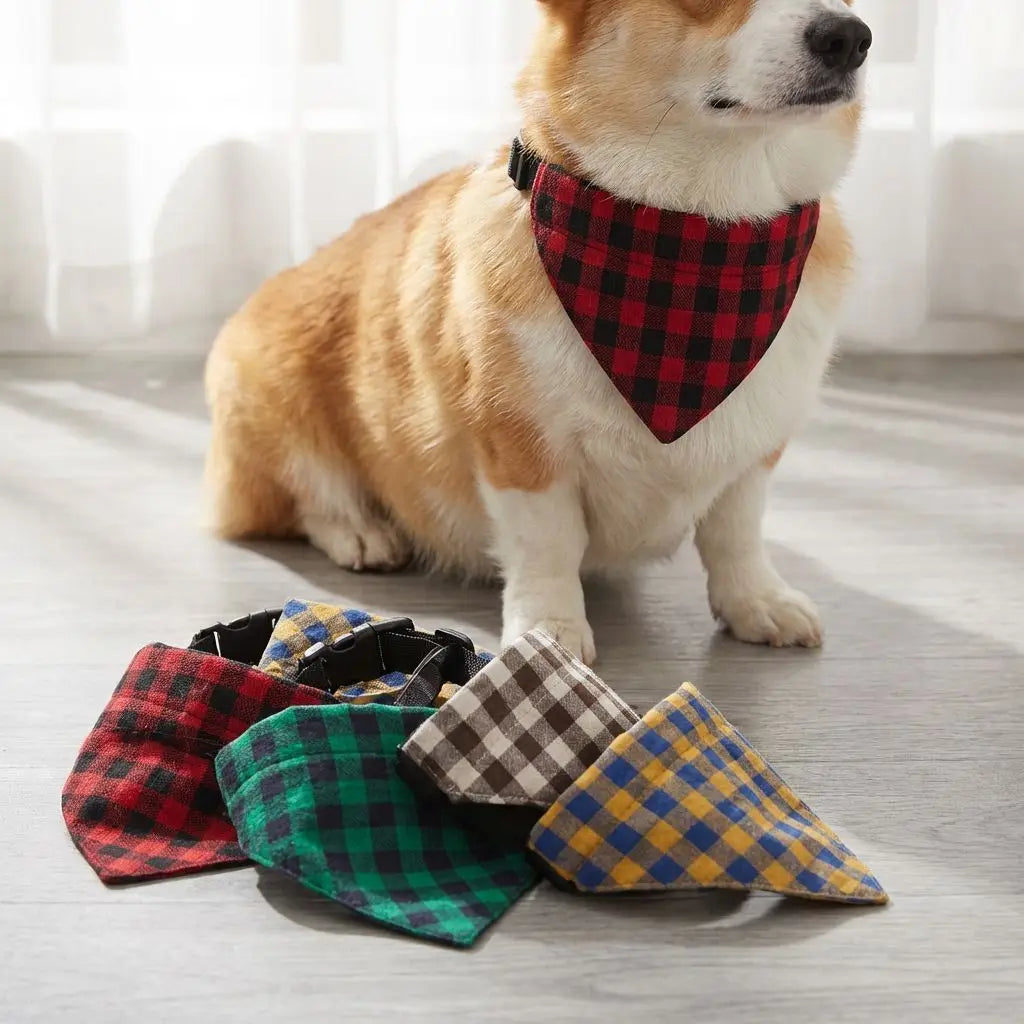 A light brown dog wearing a red and black plaid bandana around its neck.