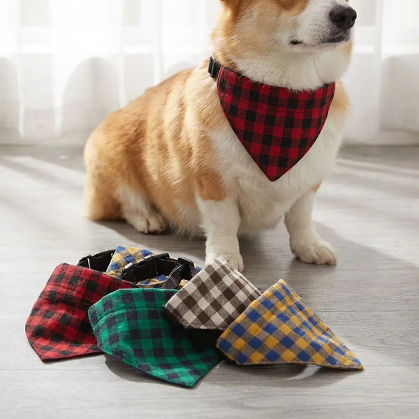 A light brown dog wearing a red and black plaid bandana around its neck.