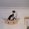 A black and white cat is resting on a wooden wall-mounted cat tree with a hammock.
