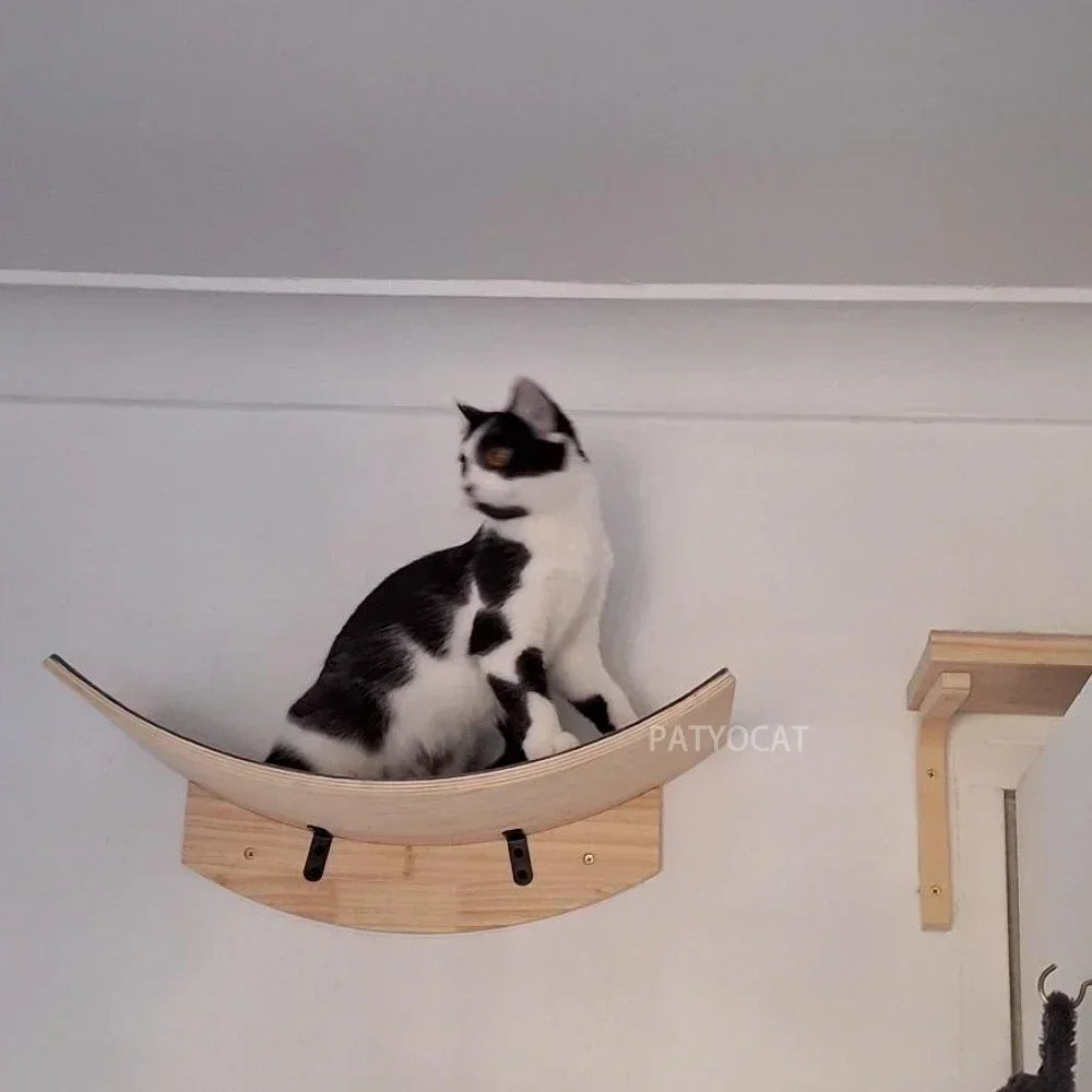 A black and white cat is resting on a wooden wall-mounted cat tree with a hammock.