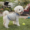 A fluffy white dog wearing a gray and blue plaid two-piece style hoodie sitting on green grass.